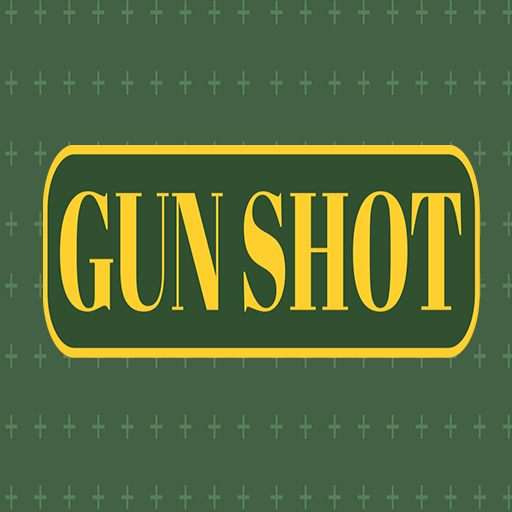 Gun Shoot HD