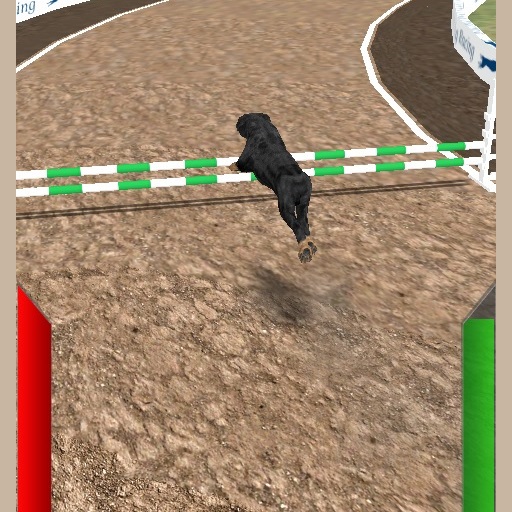 Dogs3D Races